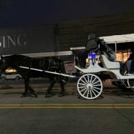 Horse-drawn carriage with large white wheels parked at night beside a building.