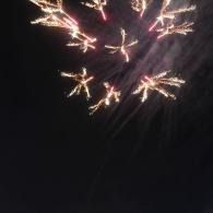 Pink fireworks bursting against a dark night sky