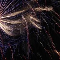 Abstract firework light streaks and sparks in gold, blue, and purple against a black background