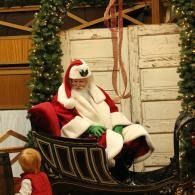 Santa in a red sleigh decorated with greenery and ribbons, in a festive indoor holiday display