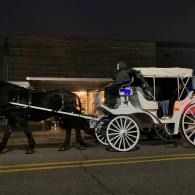 Horse-drawn white carriage with illuminated wheels on a dark city street at night
