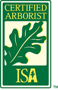 Certified Arborist logo: green rectangle with