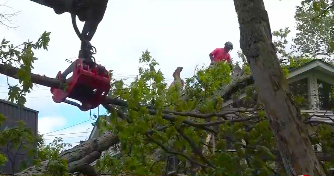 Workers in red safety gear trimming trees among branches near a house on a cloudy day