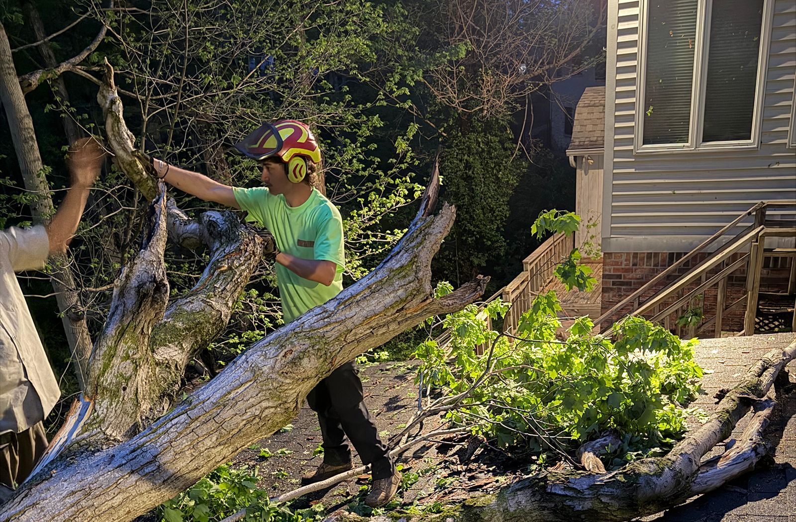Worker trimming a tree branch at night beside a house, wearing a helmet and green shirt