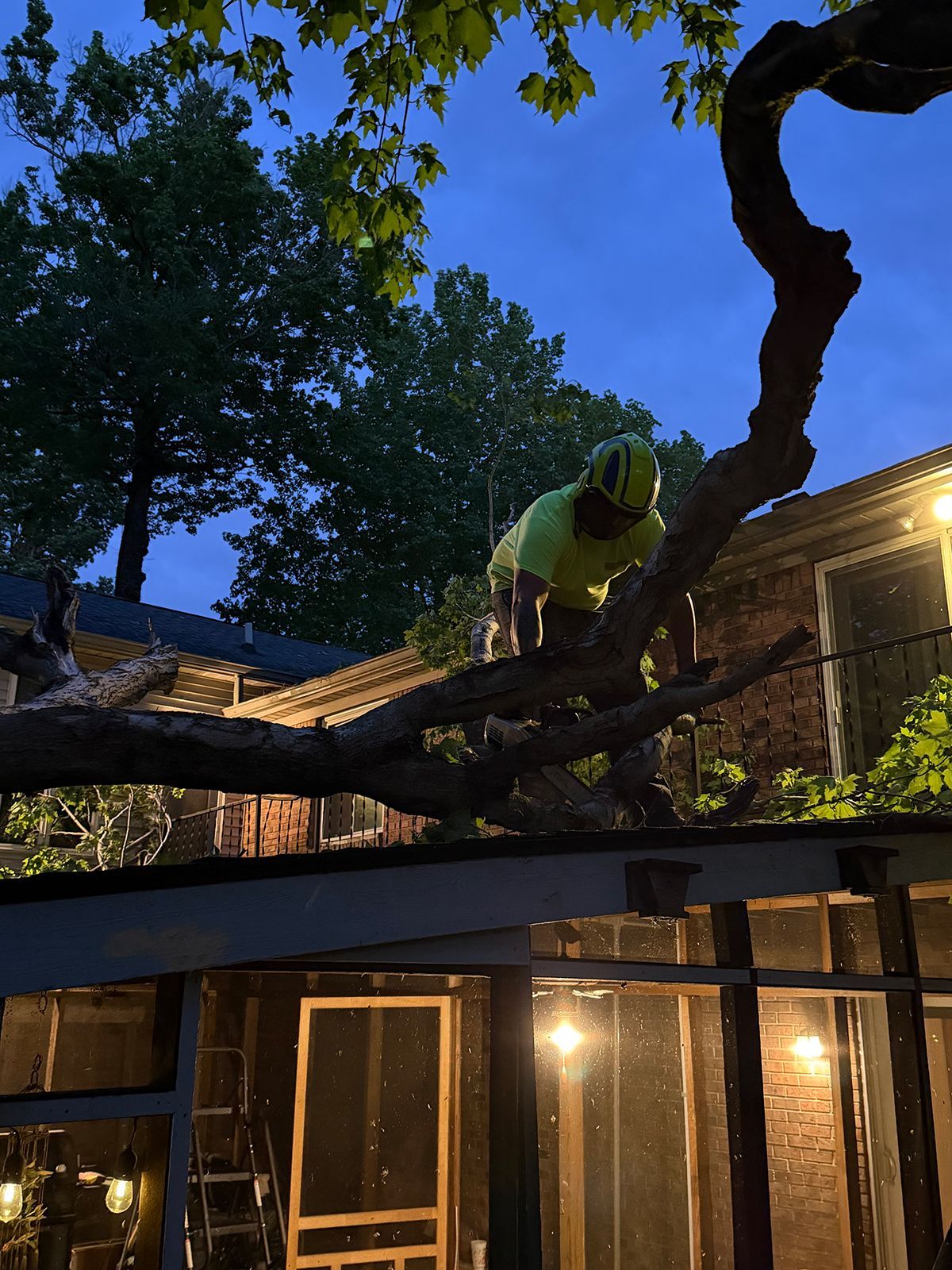 Worker on a large tree limb above a house at dusk, with warm lights glowing from the windows.