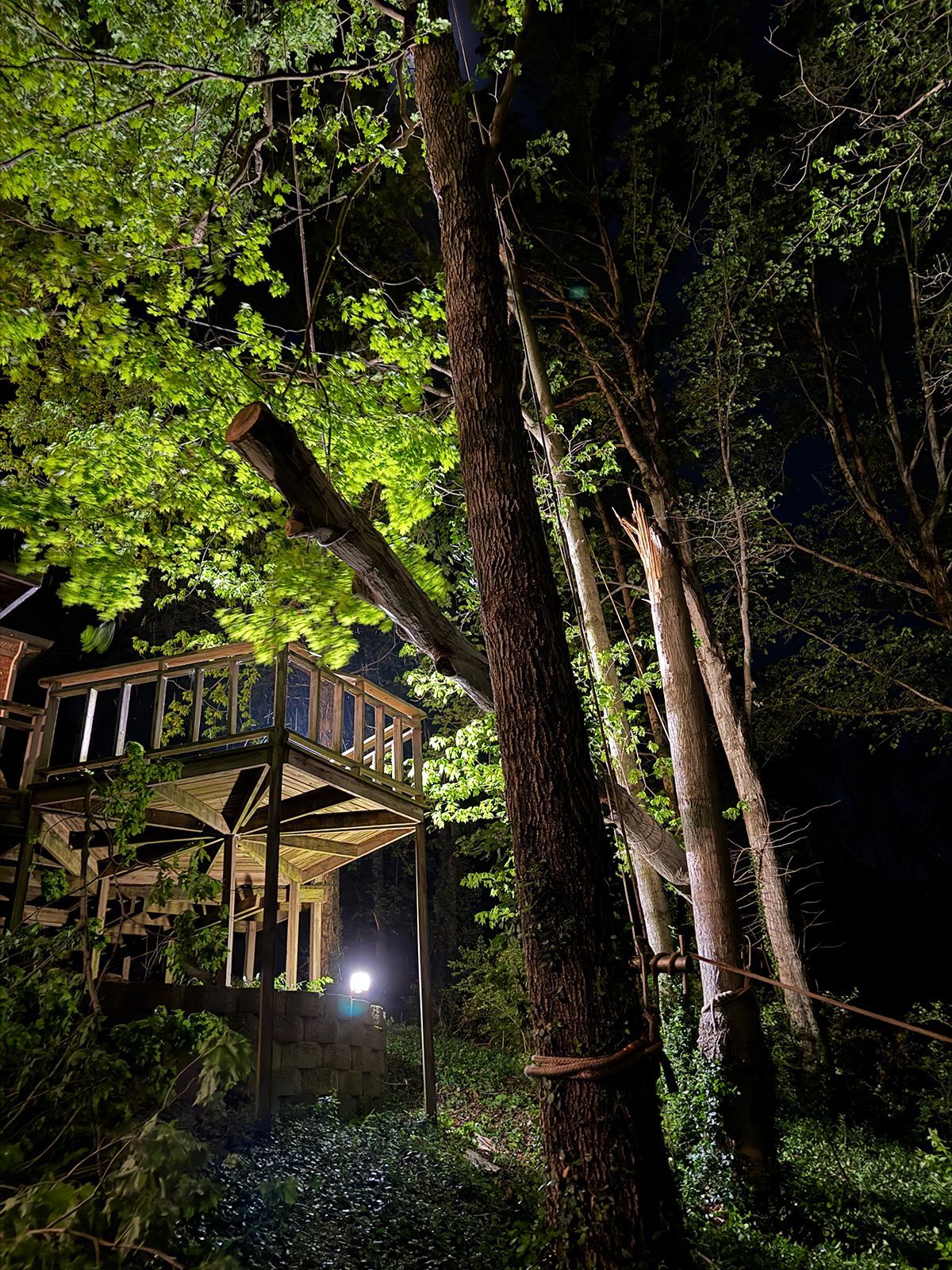 Treehouse deck lit at night among tall trees and dense green foliage