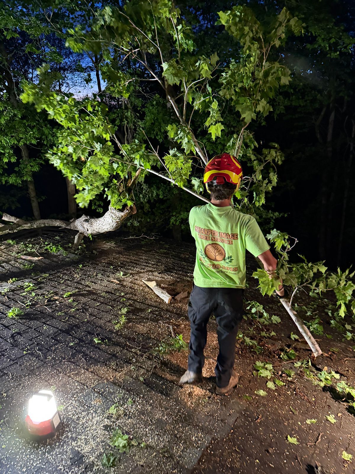 Person in a red helmet and green shirt standing outdoors at night near a fallen tree branch.