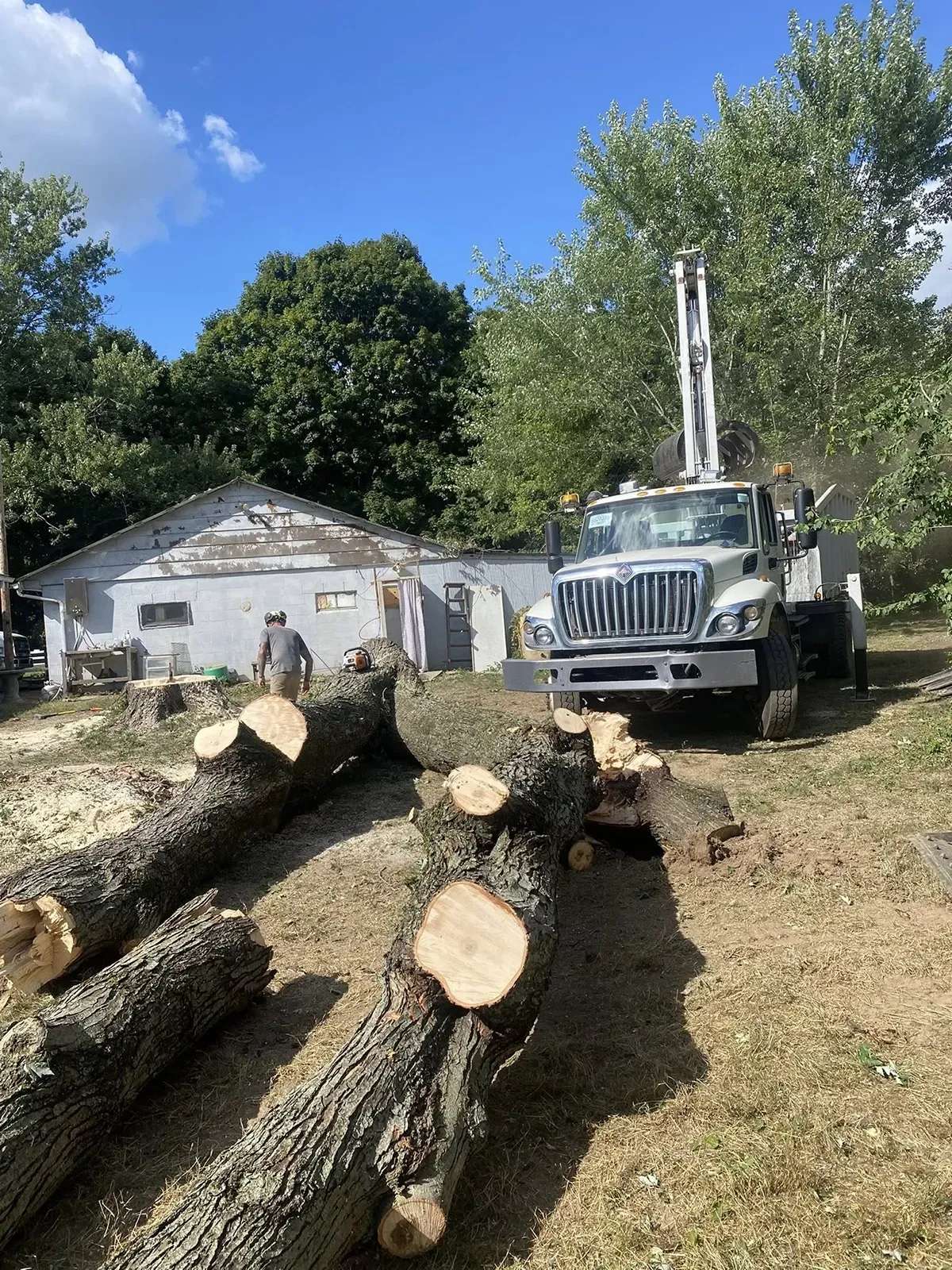 Cut logs in foreground with a white logging truck and a small house under a blue sky