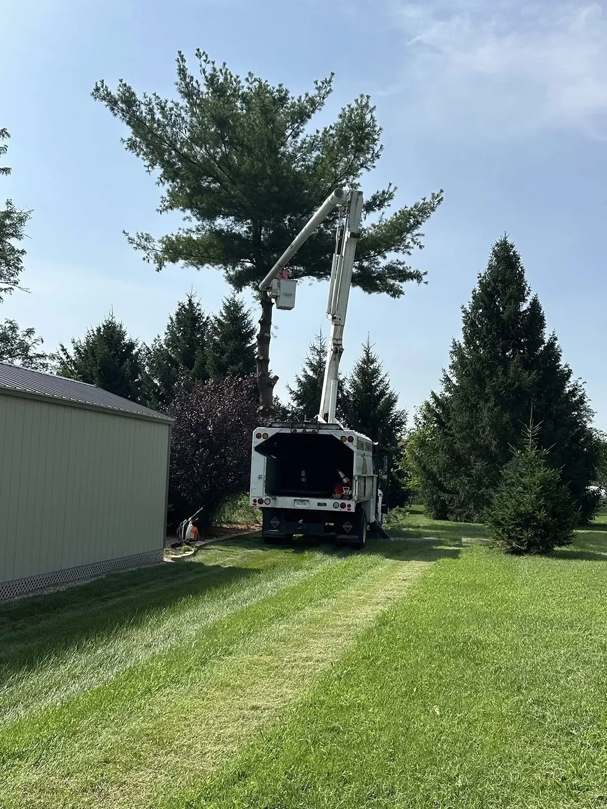 Tree trimming truck with raised crane beside a large tree in a grassy yard