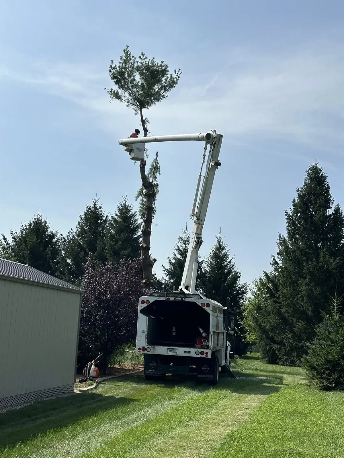 Tree being lifted by a crane truck beside a house on a grassy driveway