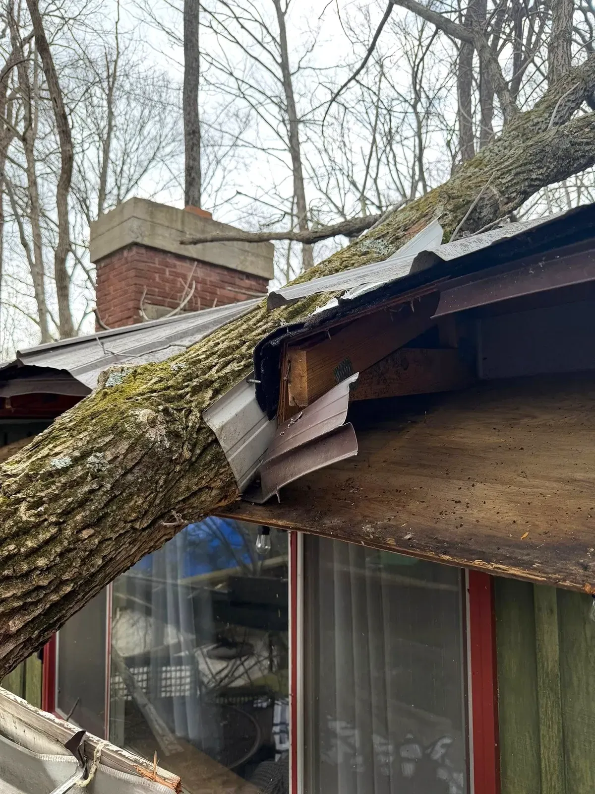 Fallen tree trunk leaning into a house roof, damaging the eaves in a wooded yard