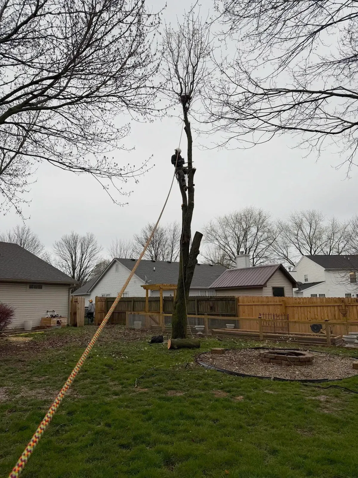 Backyard with a tall tree stump, wooden fence, and houses under a gray sky