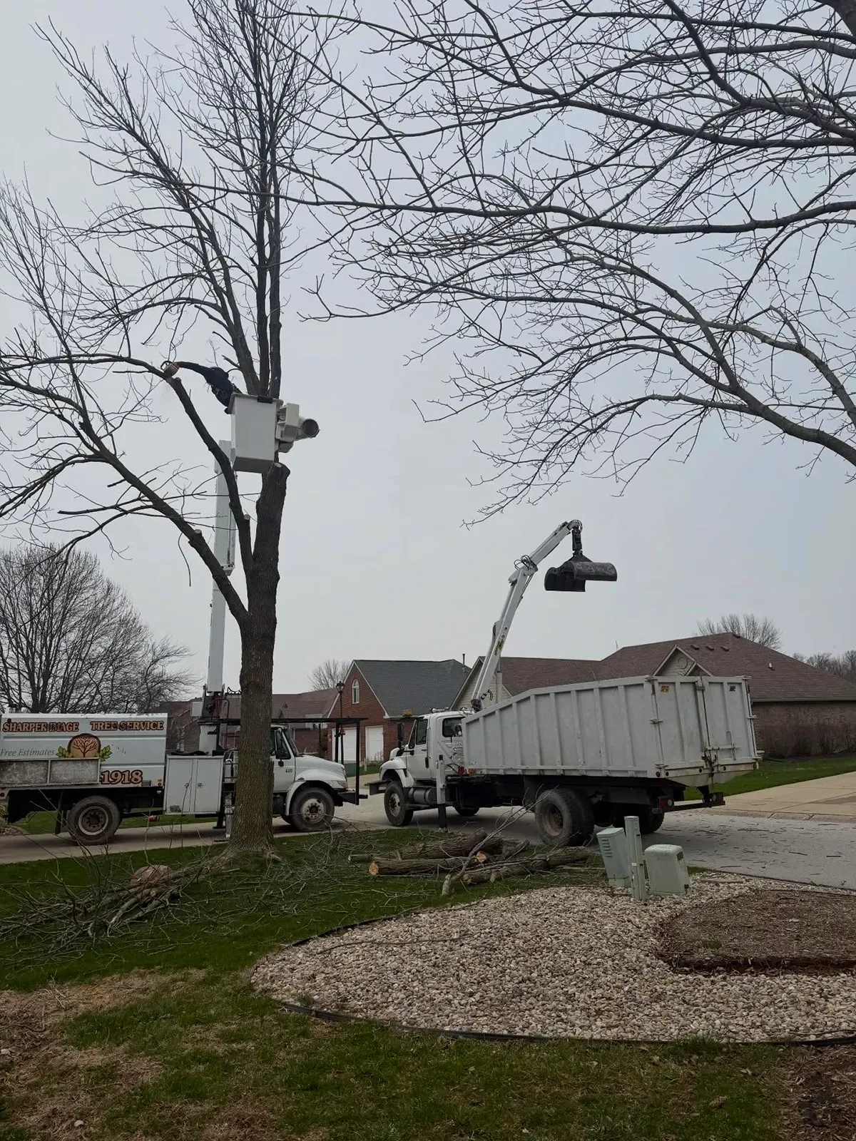 Tow truck lifting a white dump truck beside a tree on a gravel lot under gray skies