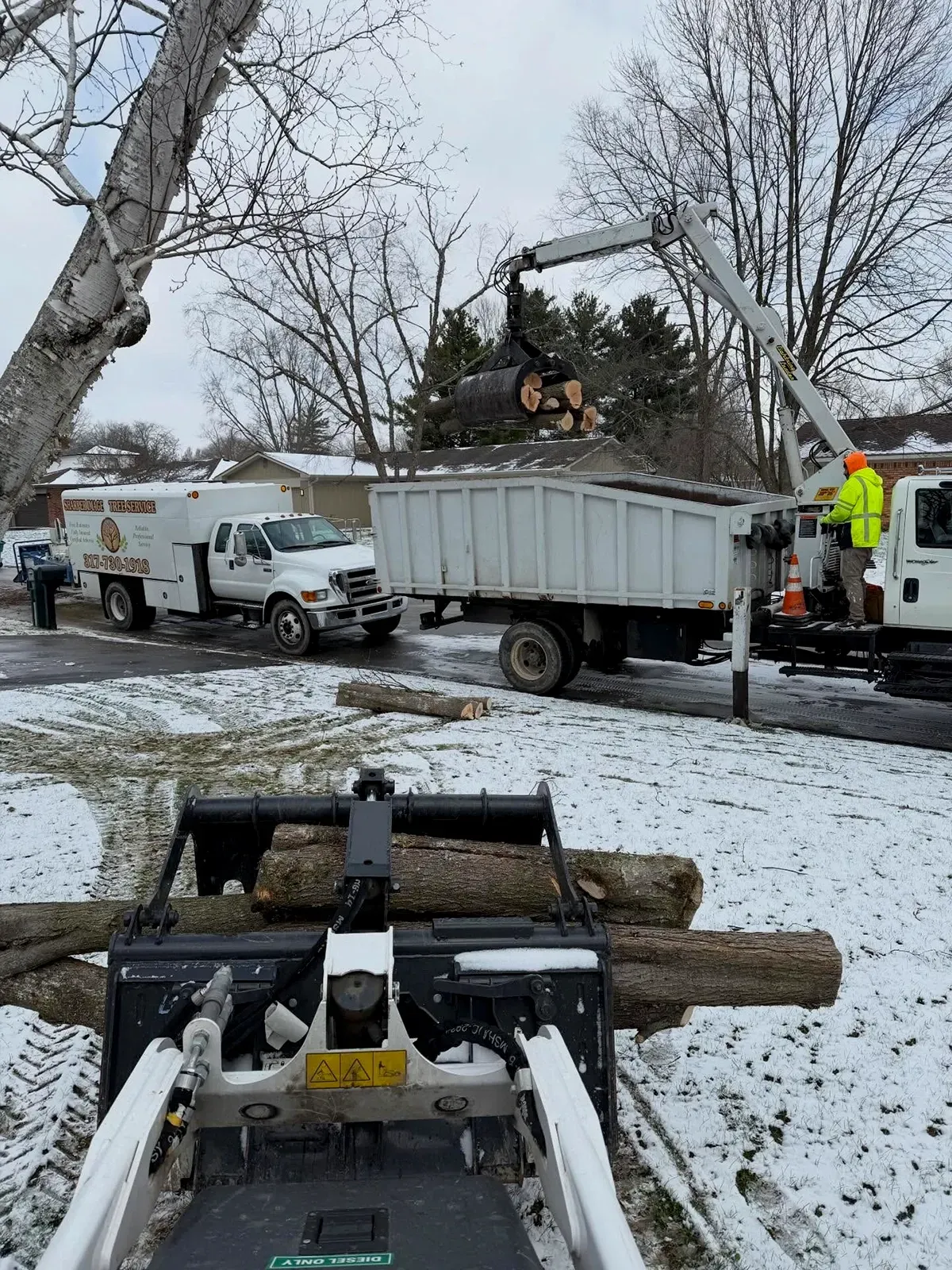 Snowy roadside with trucks and workers loading cut tree logs into a dump trailer.