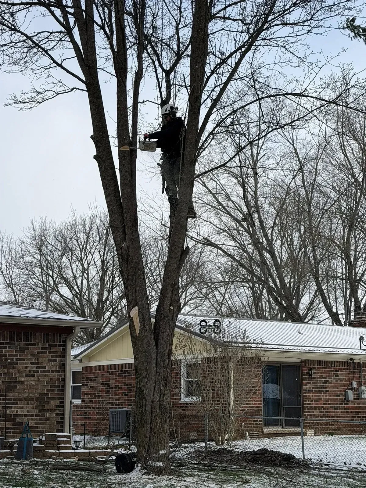 Worker on a tree near a brick house in a snowy yard