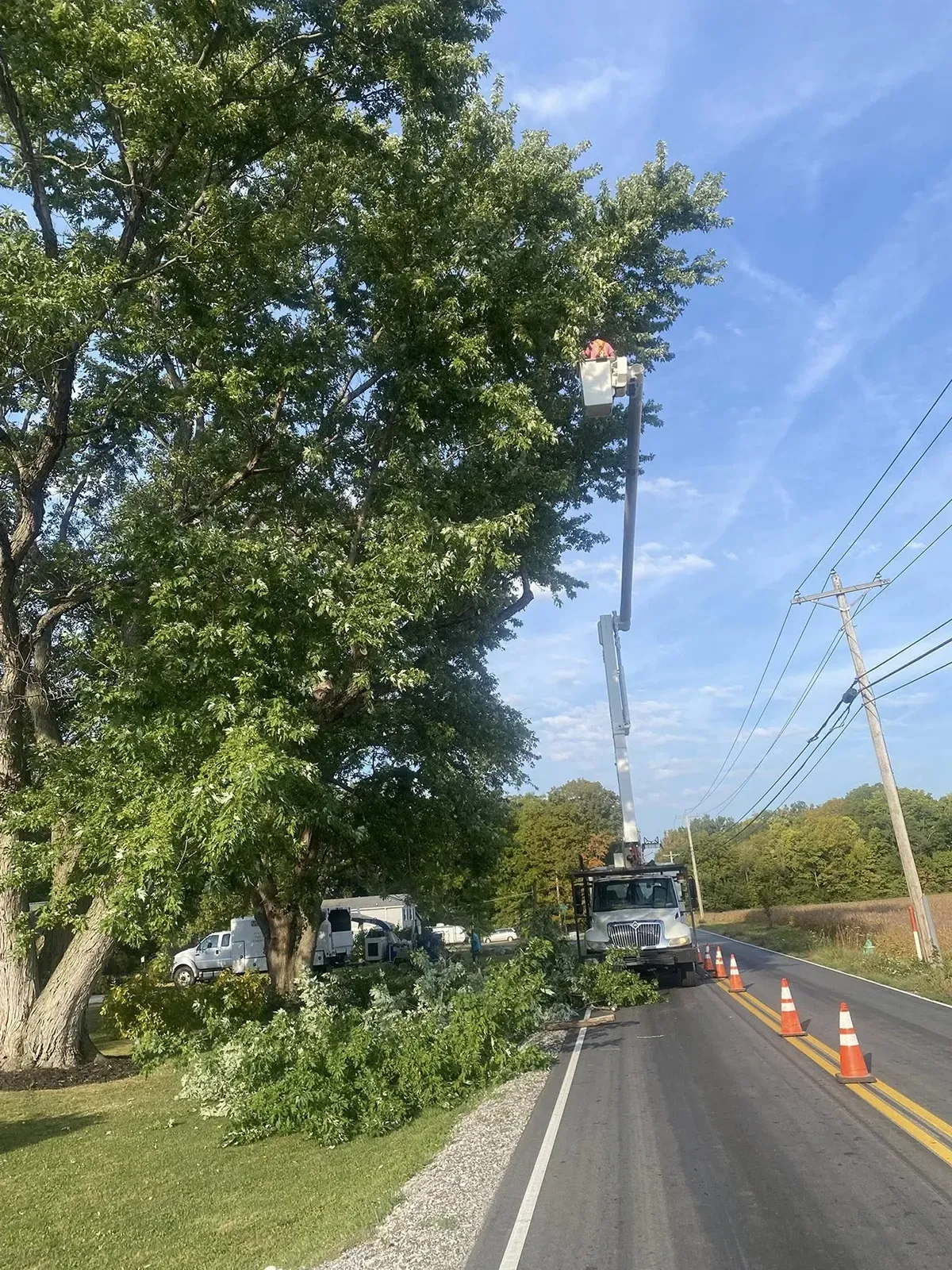 Roadside tree trimming with a bucket truck and cones along a sunny highway