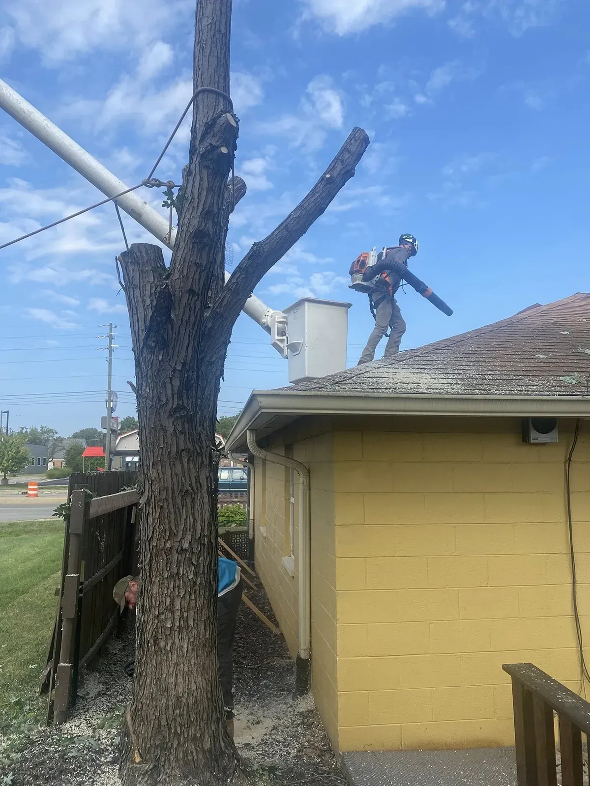Worker trimming a large tree beside a yellow building, standing on the roof with a chainsaw.