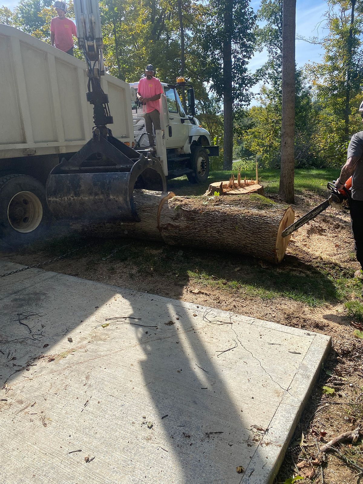 Workers loading a large log into a truck on a sunny wooded roadside.