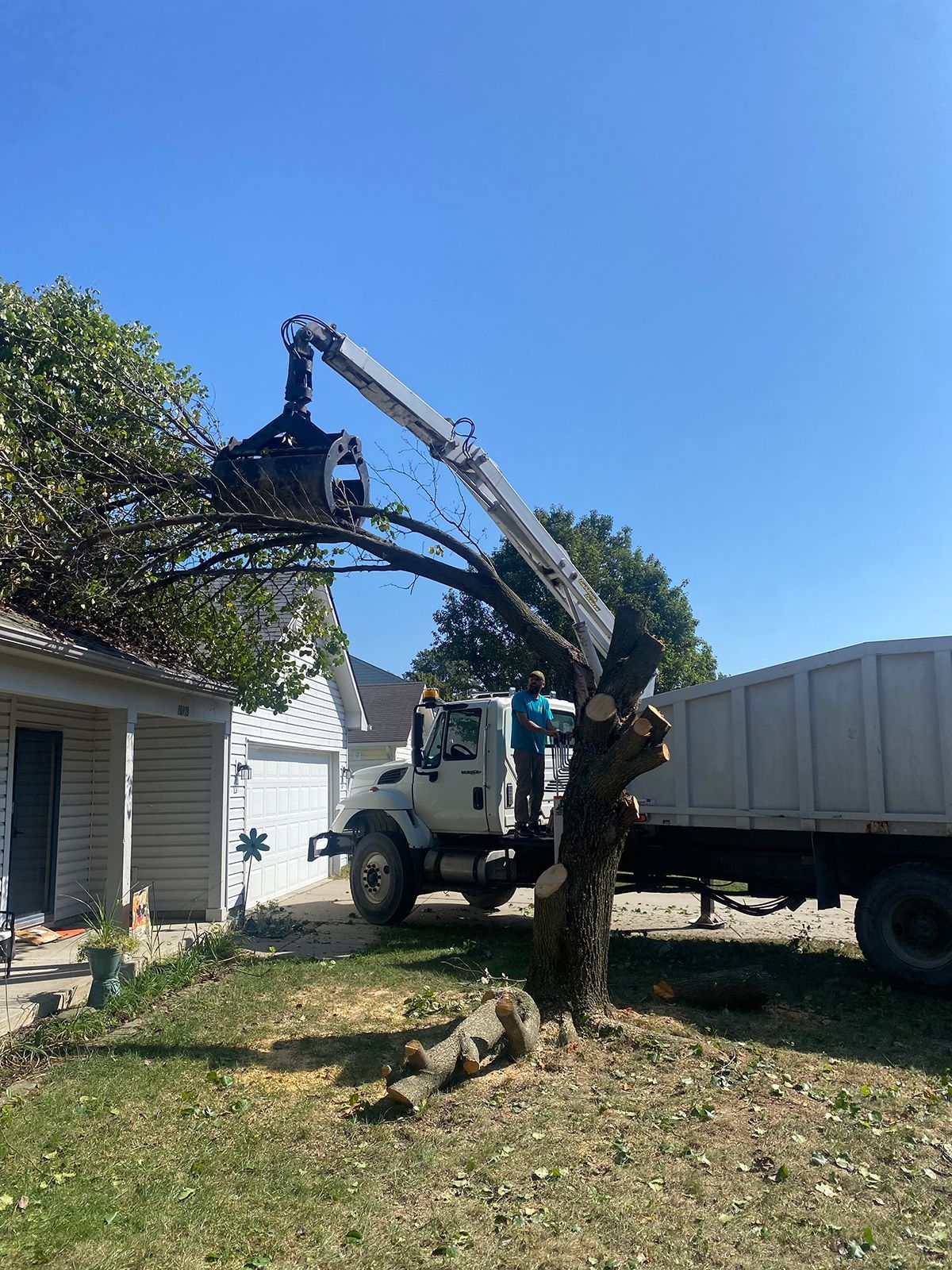 Worker using a truck-mounted crane to cut a tree beside a house on a sunny day