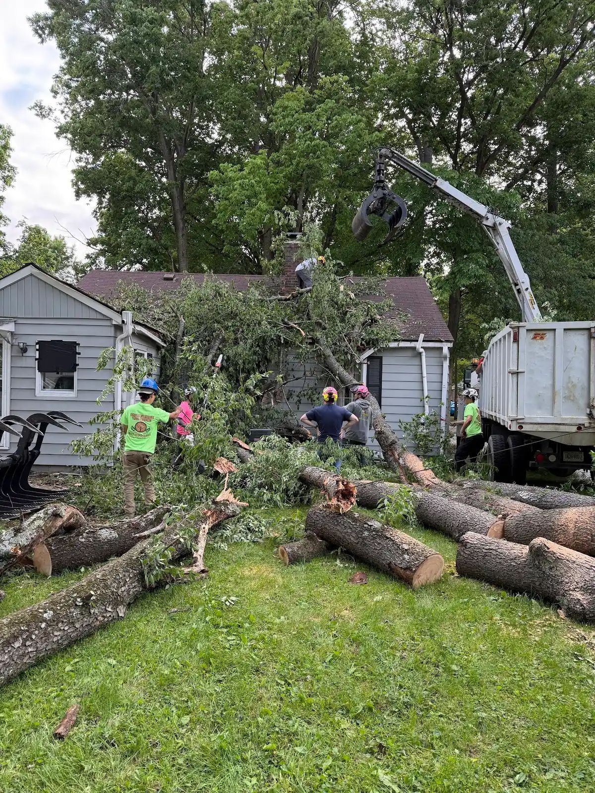 Tree removal in a yard, with workers cutting large logs beside a house and wood chipper.