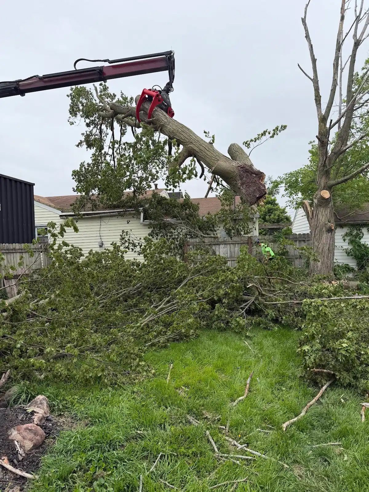 Tree being cut by a crane in a backyard, with branches scattered on the grass.