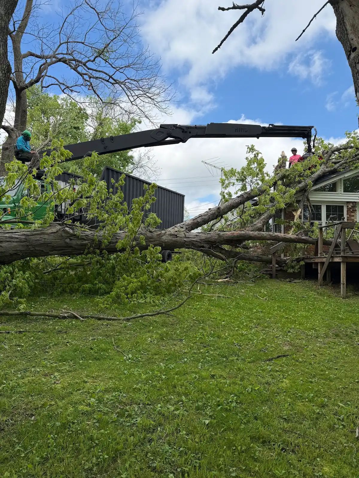 Fallen tree on grassy lawn with a crane lifting debris near a damaged building under blue sky