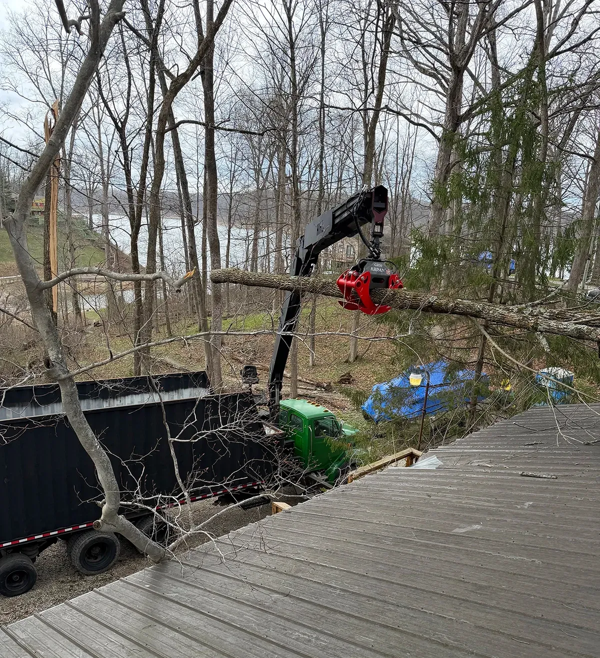 Worker on a red cherry picker trimming a tree over a wooded yard beside a black dumpster and blue tarp