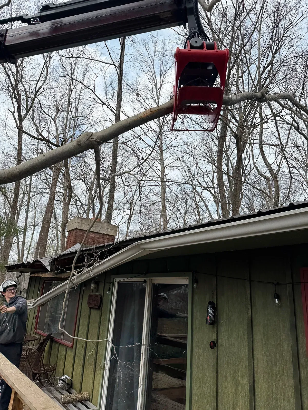 Red lift basket removes a tree branch above a small green house