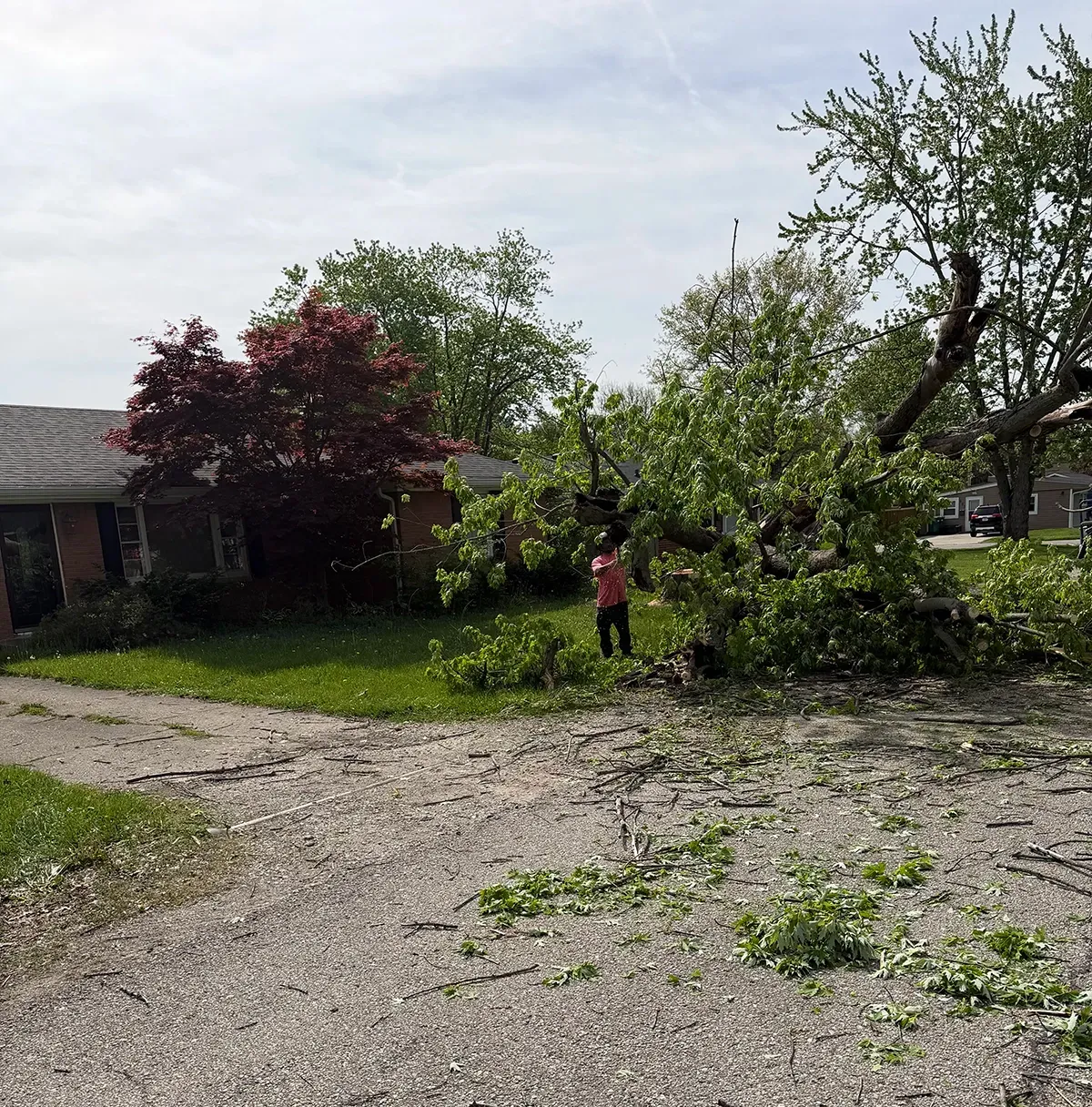 Storm damage in a yard, with a fallen tree branch and a person standing near debris by a house.