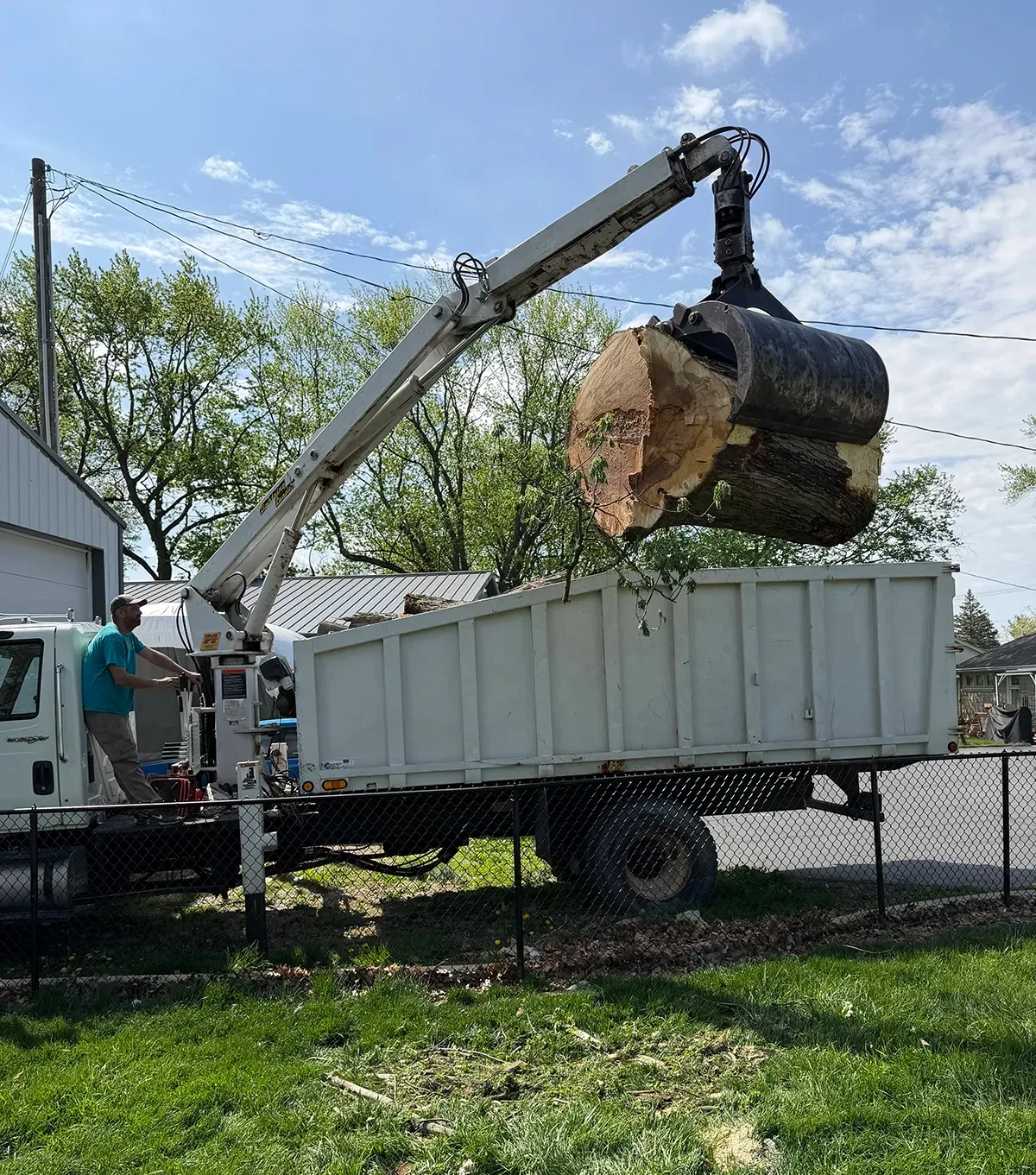 Crane loading a large tree trunk into a white dump truck in a grassy yard