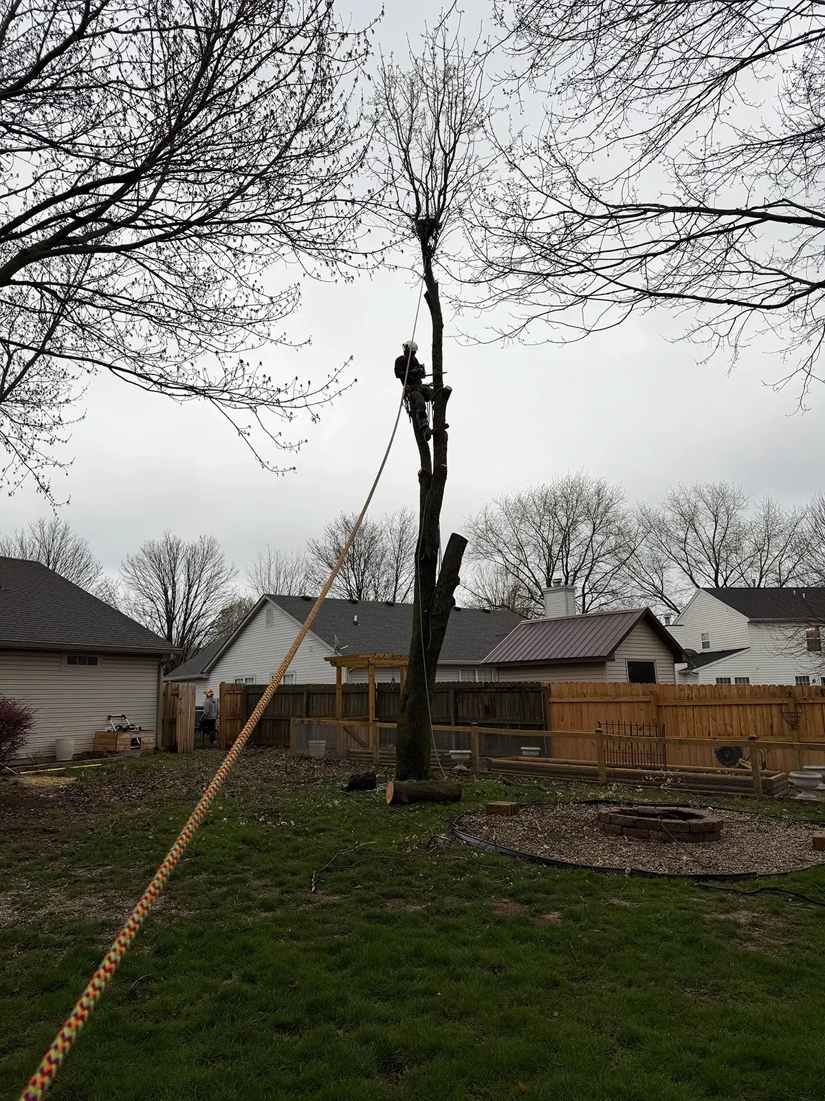 Backyard with a tall leafless tree, fenced yard, and houses under a gray sky