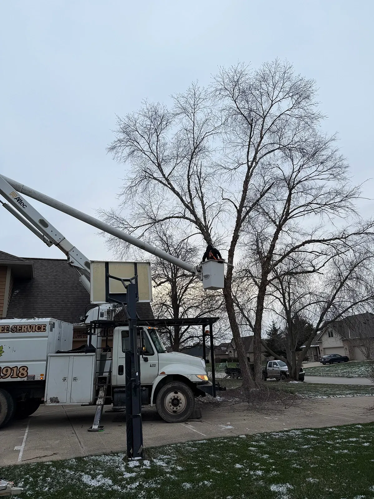 Utility bucket truck beside a leafless tree in a snowy yard