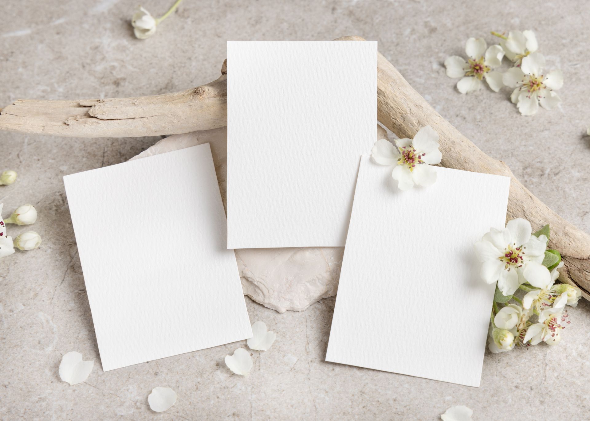 Three blank white cards on a light stone surface with small white flowers