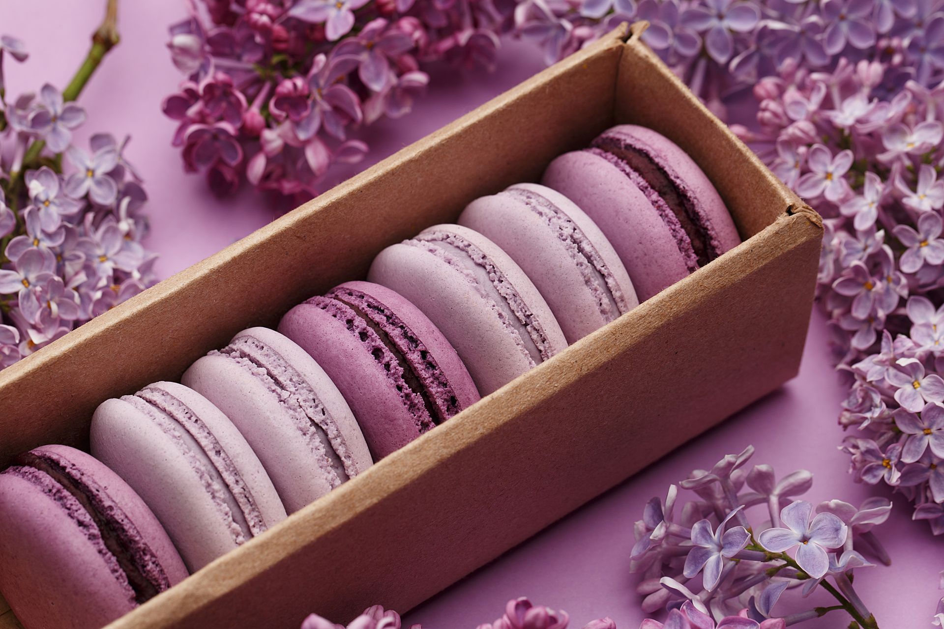 Box of pastel purple macarons surrounded by lavender flowers