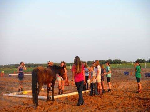 A group of people are standing around a horse in a dirt field - Anna, TX - Spirit Song Youth Equestrian Academy