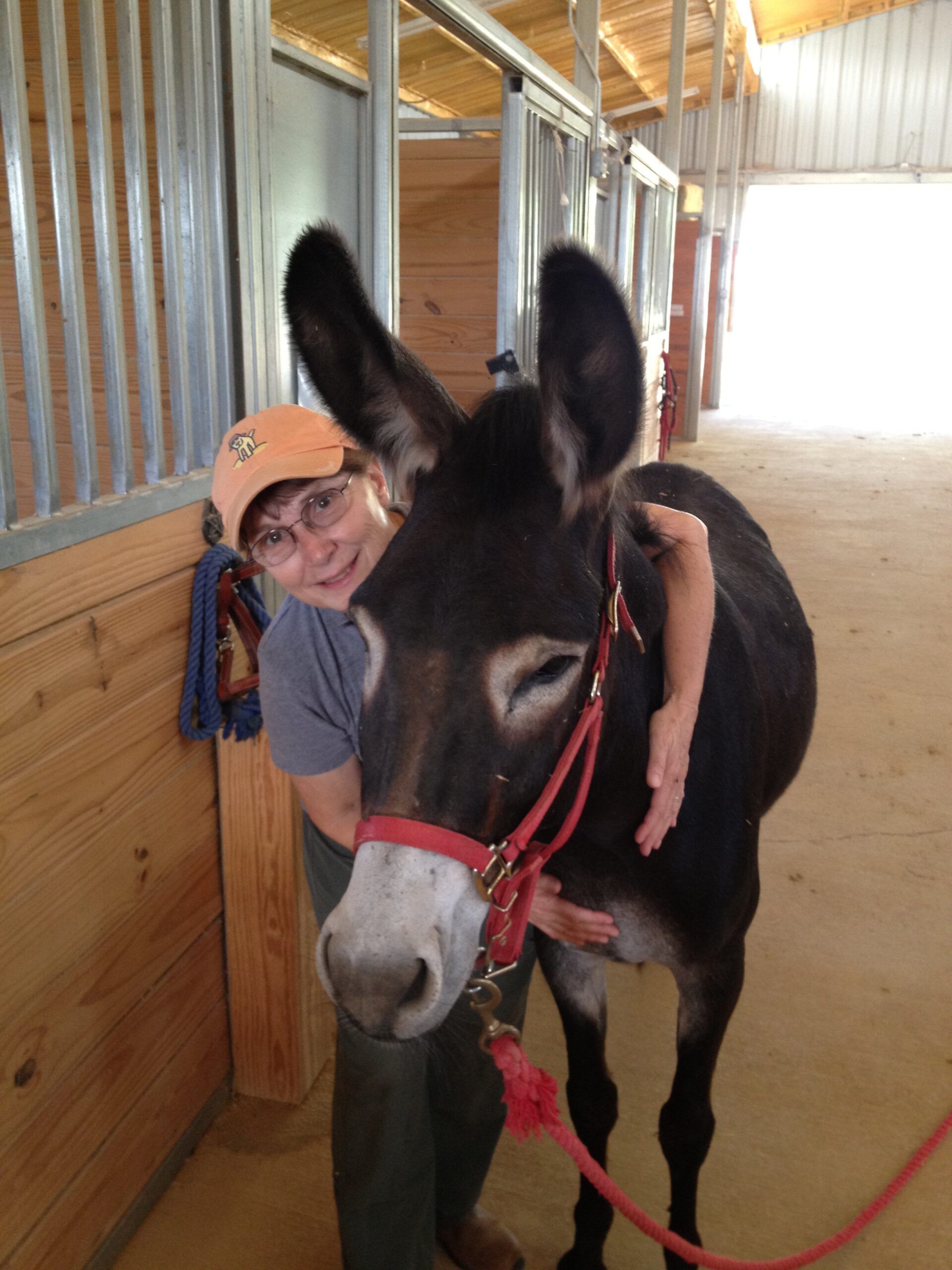 Lady Helping a Boy Ride a Horse - Anna, TX - Spirit Song Youth Equestrian Academy A woman is hugging a donkey in a barn