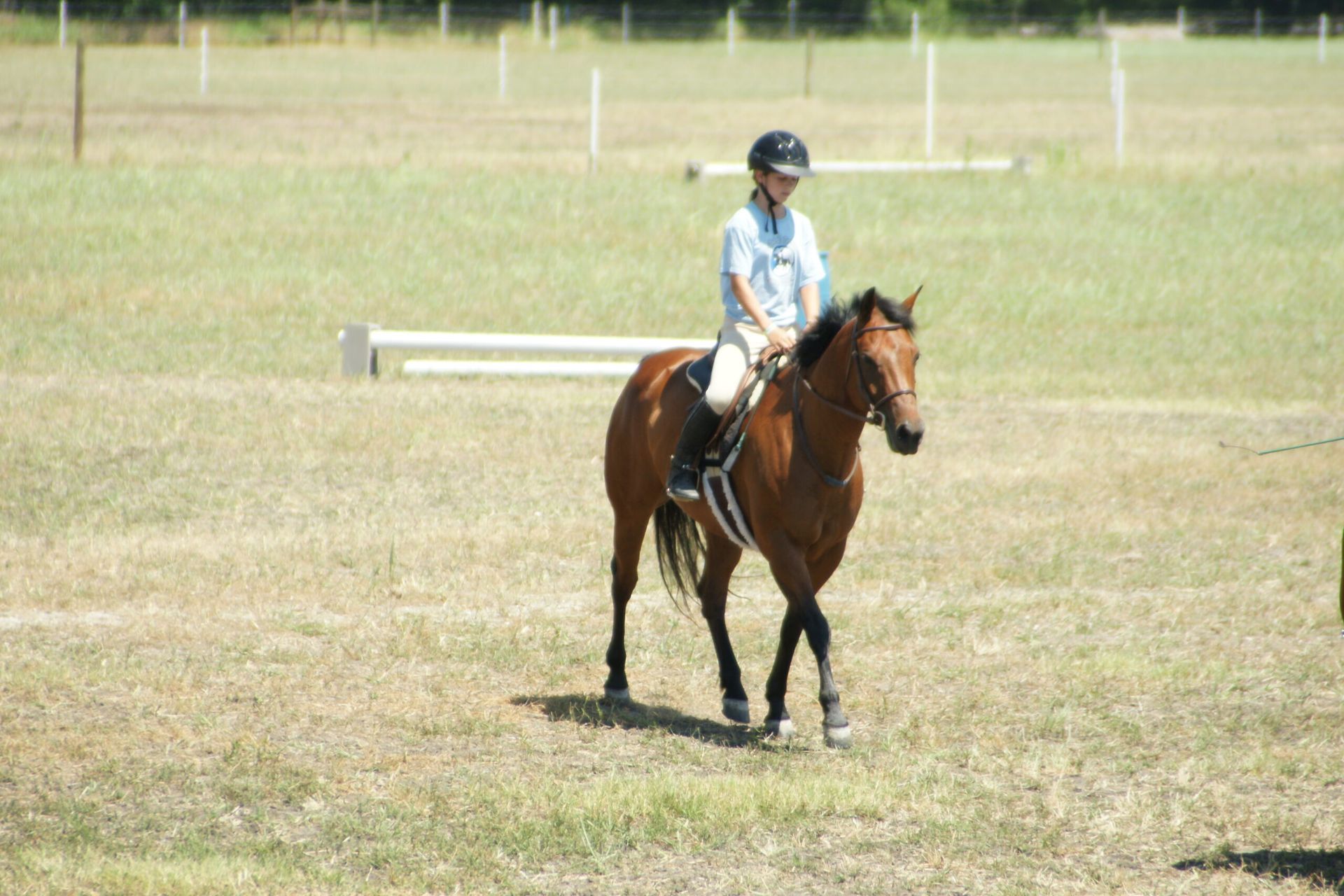 A person is riding a brown horse in a field - Anna, TX - Spirit Song Youth Equestrian Academy