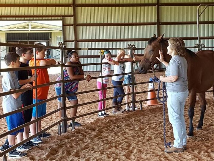 Group of Girls Looking at a Horse - Anna, TX - Spirit Song Youth Equestrian Academy A group of children are standing in a fenced in area talking to a horse.