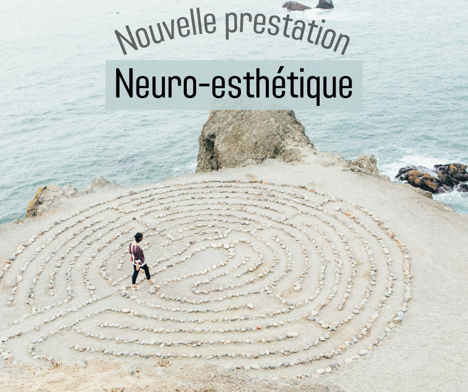 neuro-esthétique