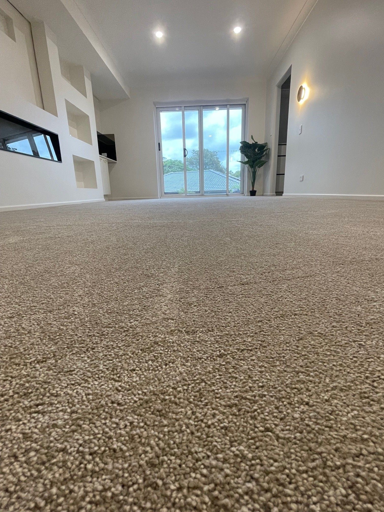 budget carpet brisbane