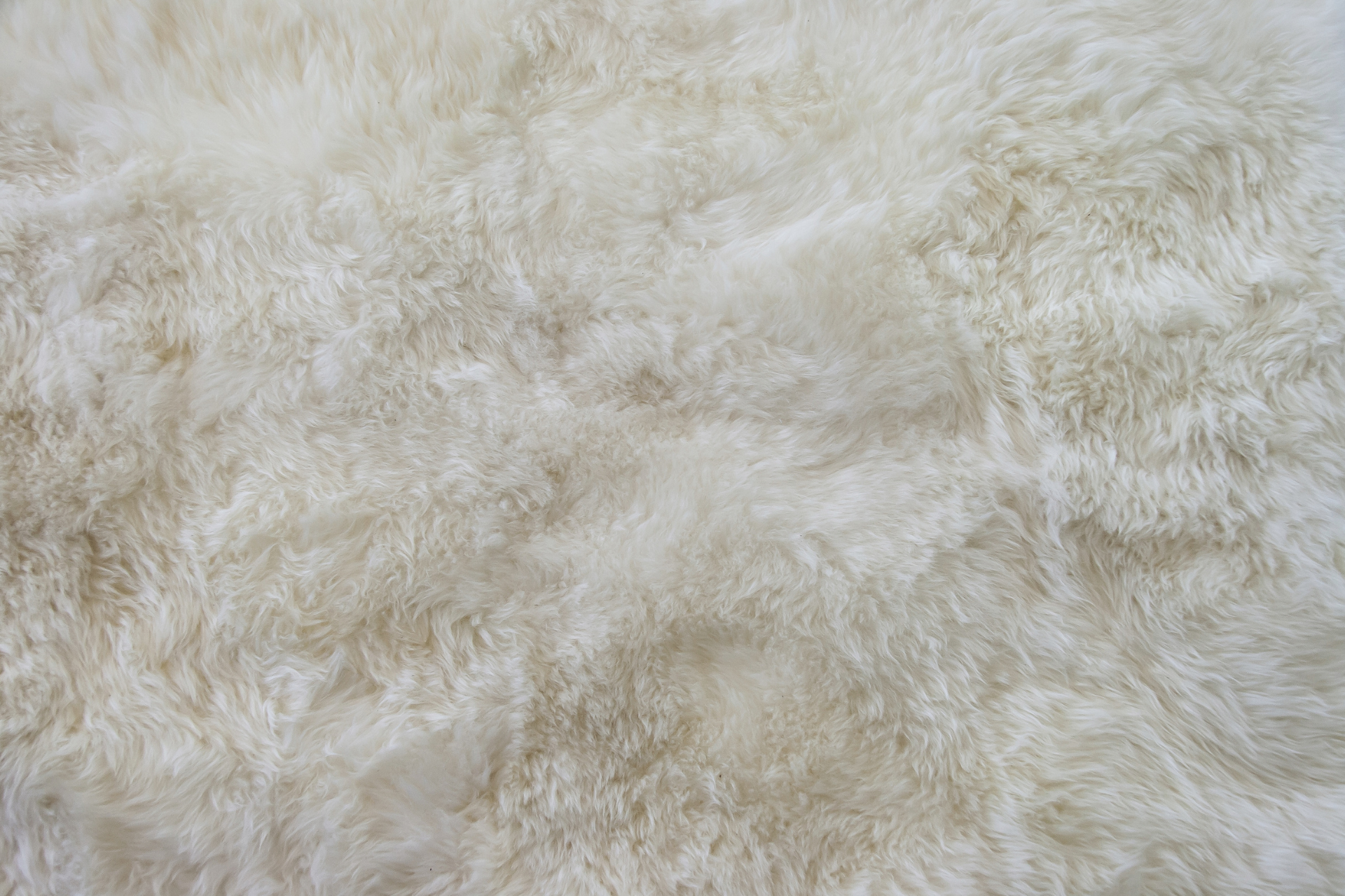 budget carpet brisbane