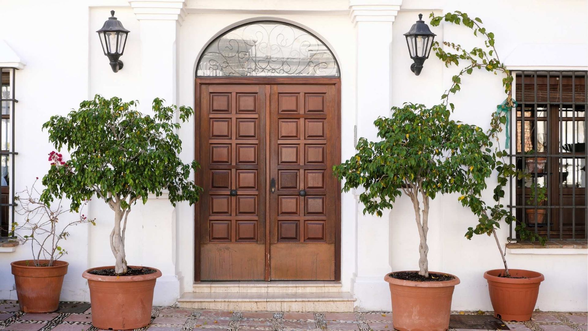 Wooden double doors with potted trees and vines against a white stucco building.