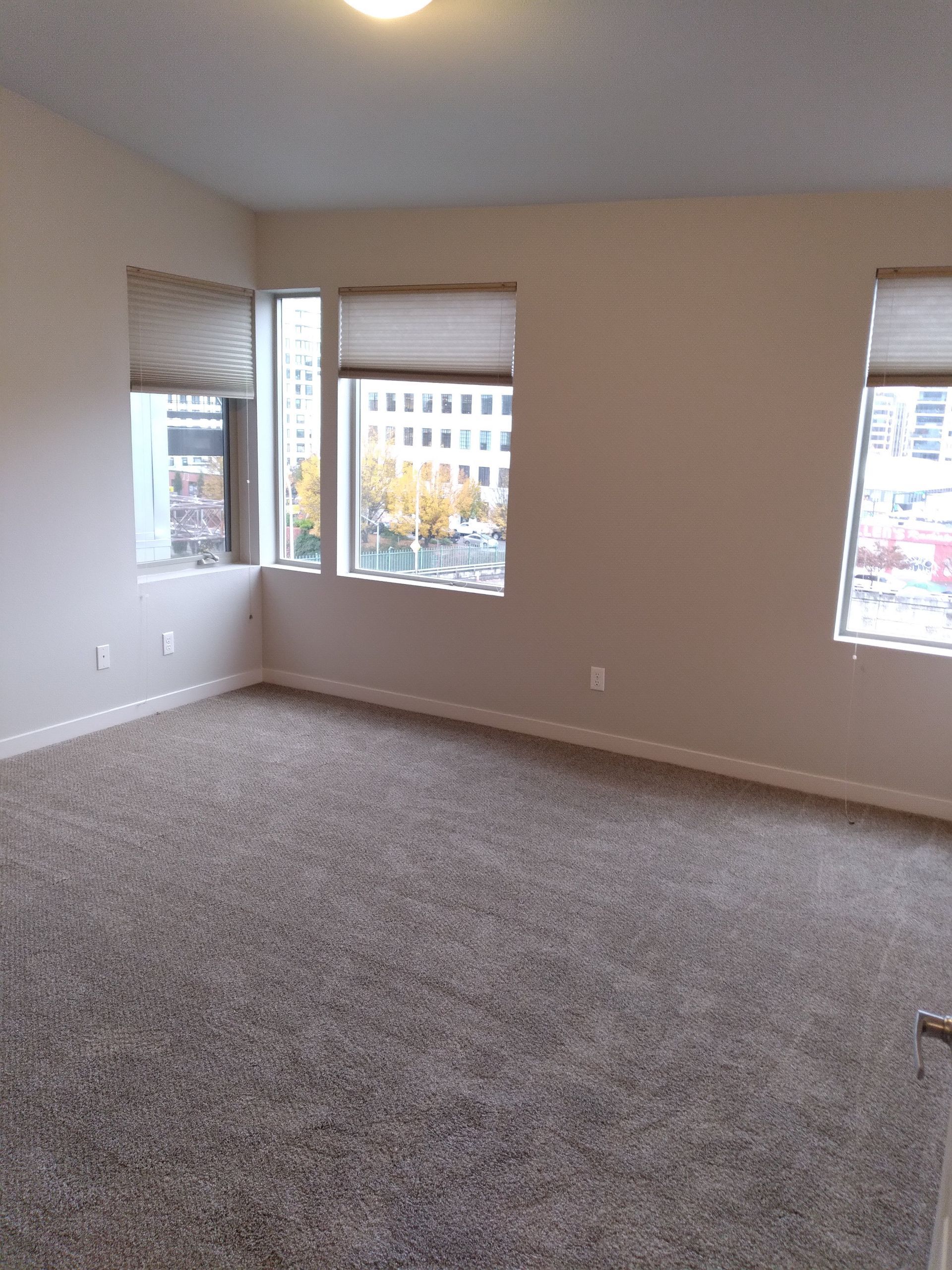 Empty carpeted room with beige walls and three windows overlooking a city street.