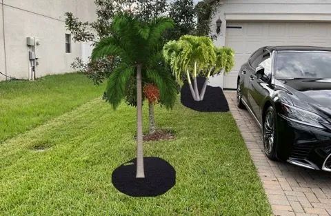 Landscape Design 2
