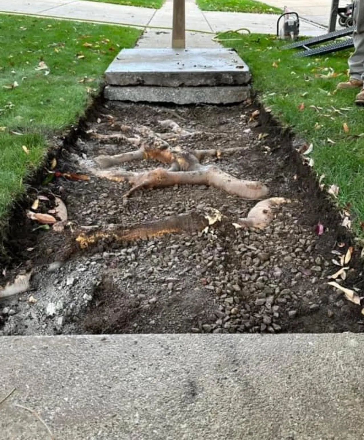 Sidewalk Before
