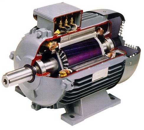 SERVICIOS INTEGRALES DE INGENIERIA ELECTROMECANICA DE DURANGO SA DE CV - MOTORES