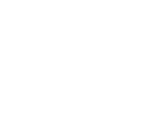 Mostly blank white image with a black horizontal bar along the bottom edge