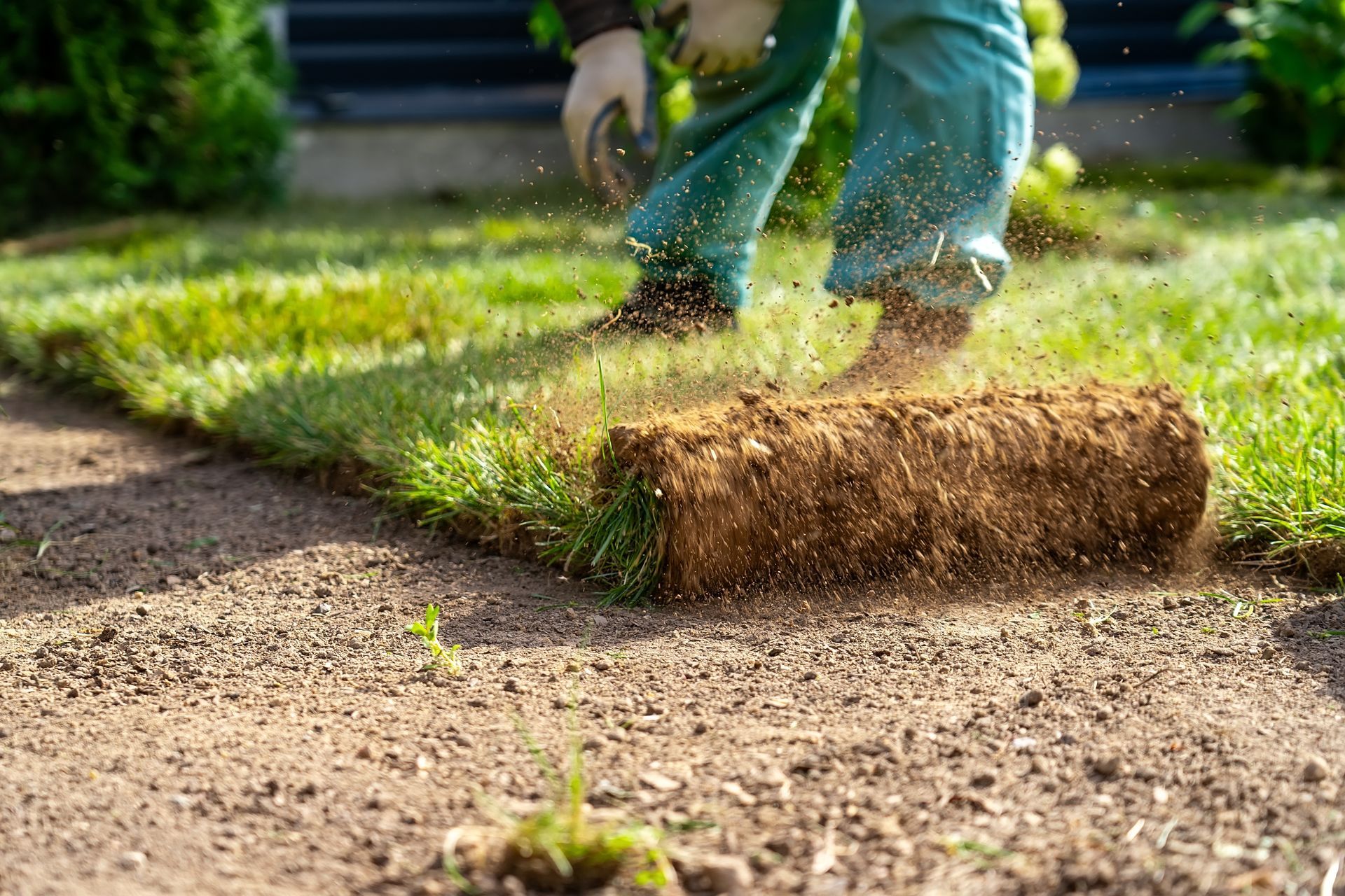 Une personne en tenue de travail déroule une bande de gazon frais et vert sur un sol brun préparé dans une cour.