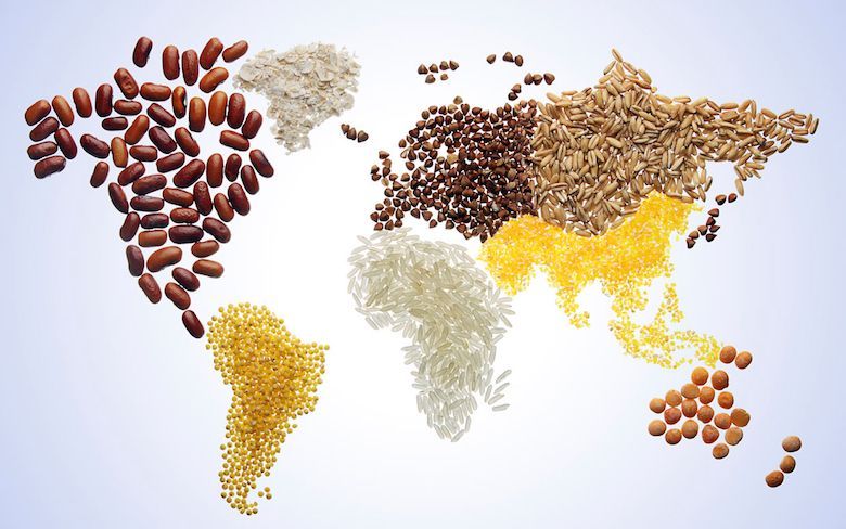 A map of the world made out of different types of grains