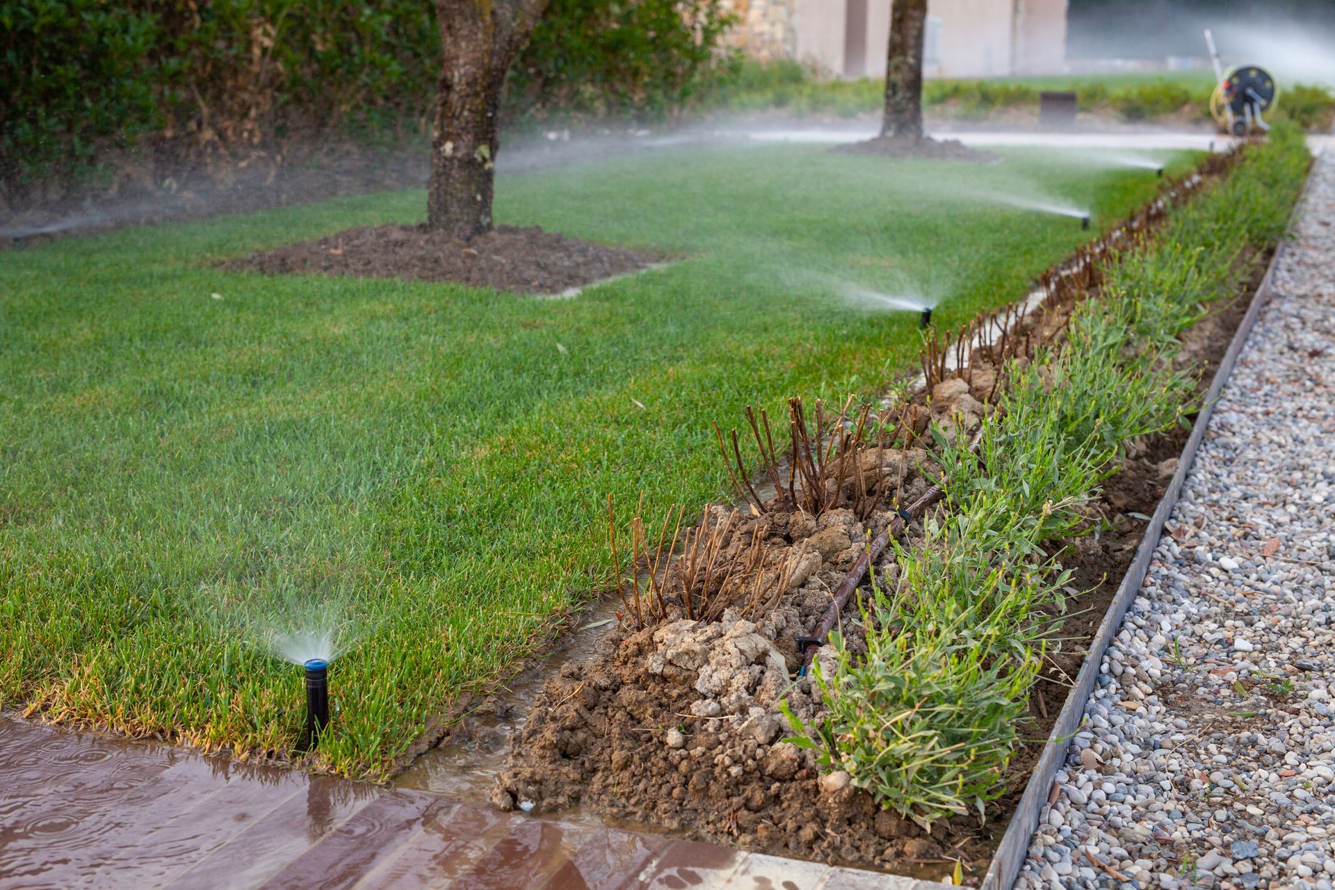 A sprinkler is spraying water on a lush green lawn.